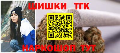 тгк Канаш