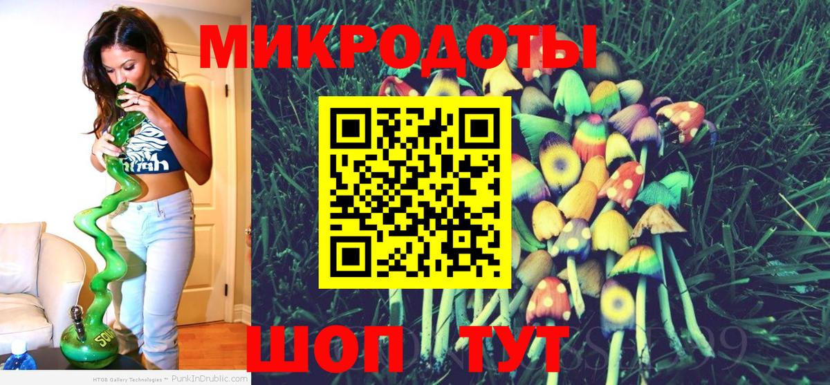 Галлюциногенные грибы Psilocybe  Вход с VPN  где найти   Камышлов 